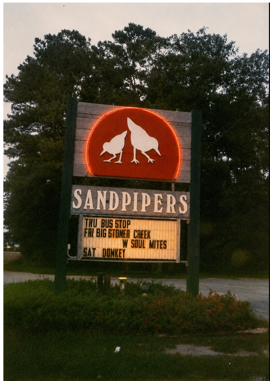 Sandpipers