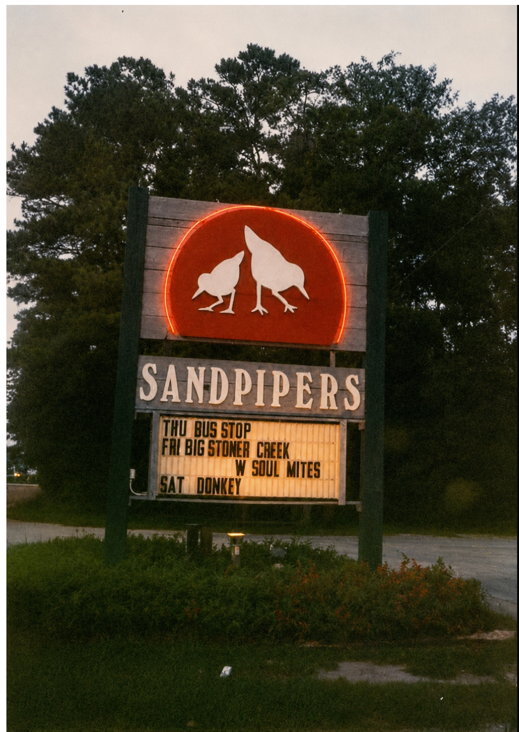 Sandpipers
